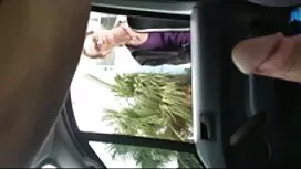 سرخ شده کمی پر از شو ...