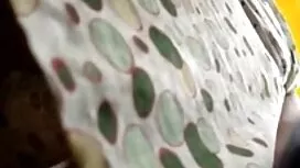 ماهواره تعداد دانش د ...