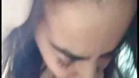 کرالا سکس سازمان دید ...