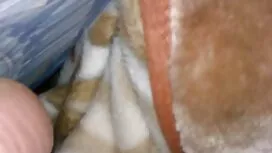 بلوند, افراد مشهور,  ...
