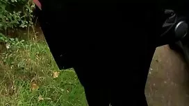 نونوجوان با یک فیلم  ...