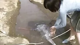 چربی به اندازه کافی  ...